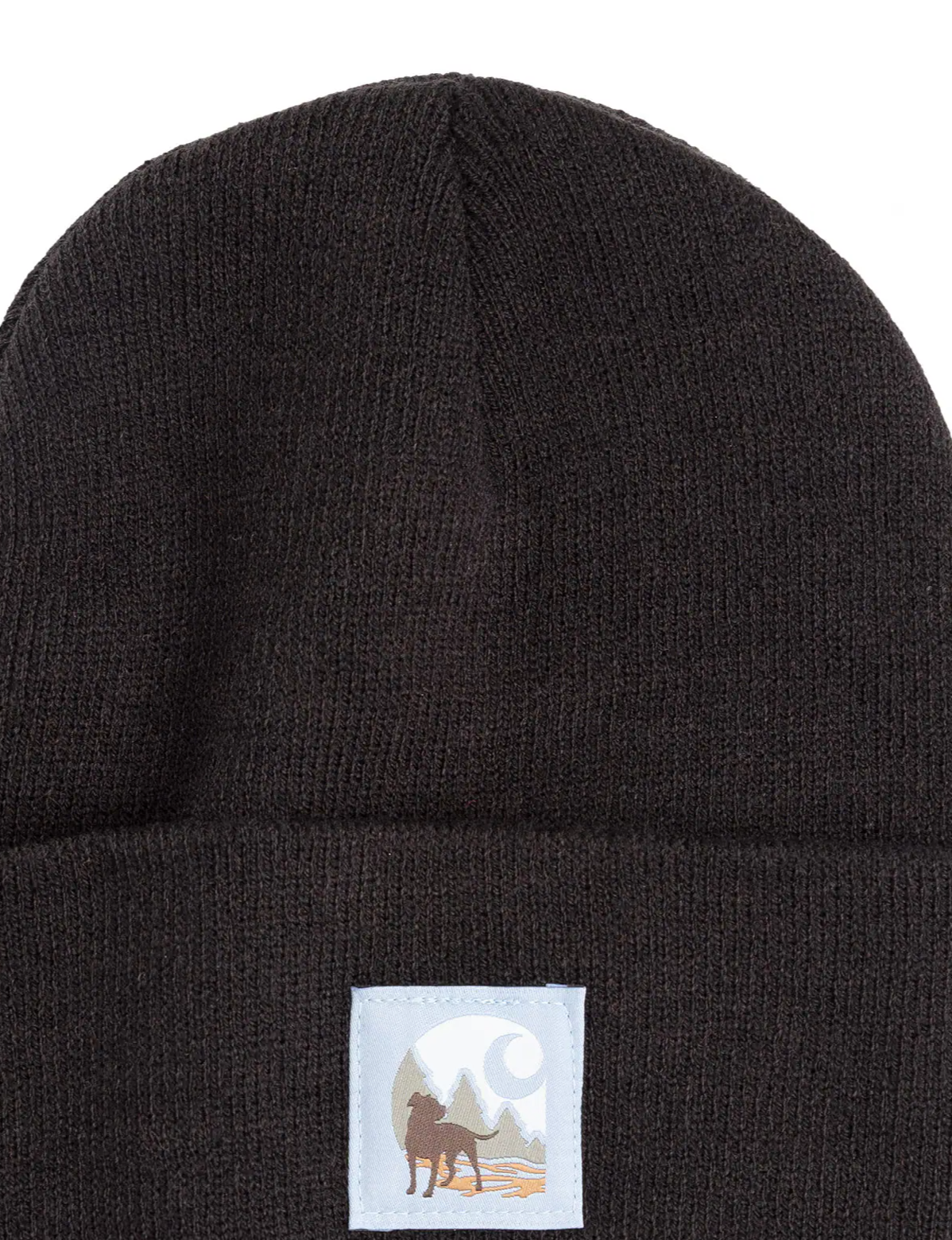 Carhartt Watch Cap Graphic Beanie