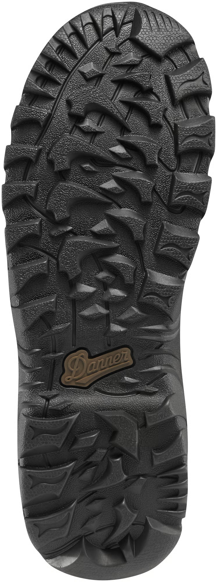 Danner Men's Element