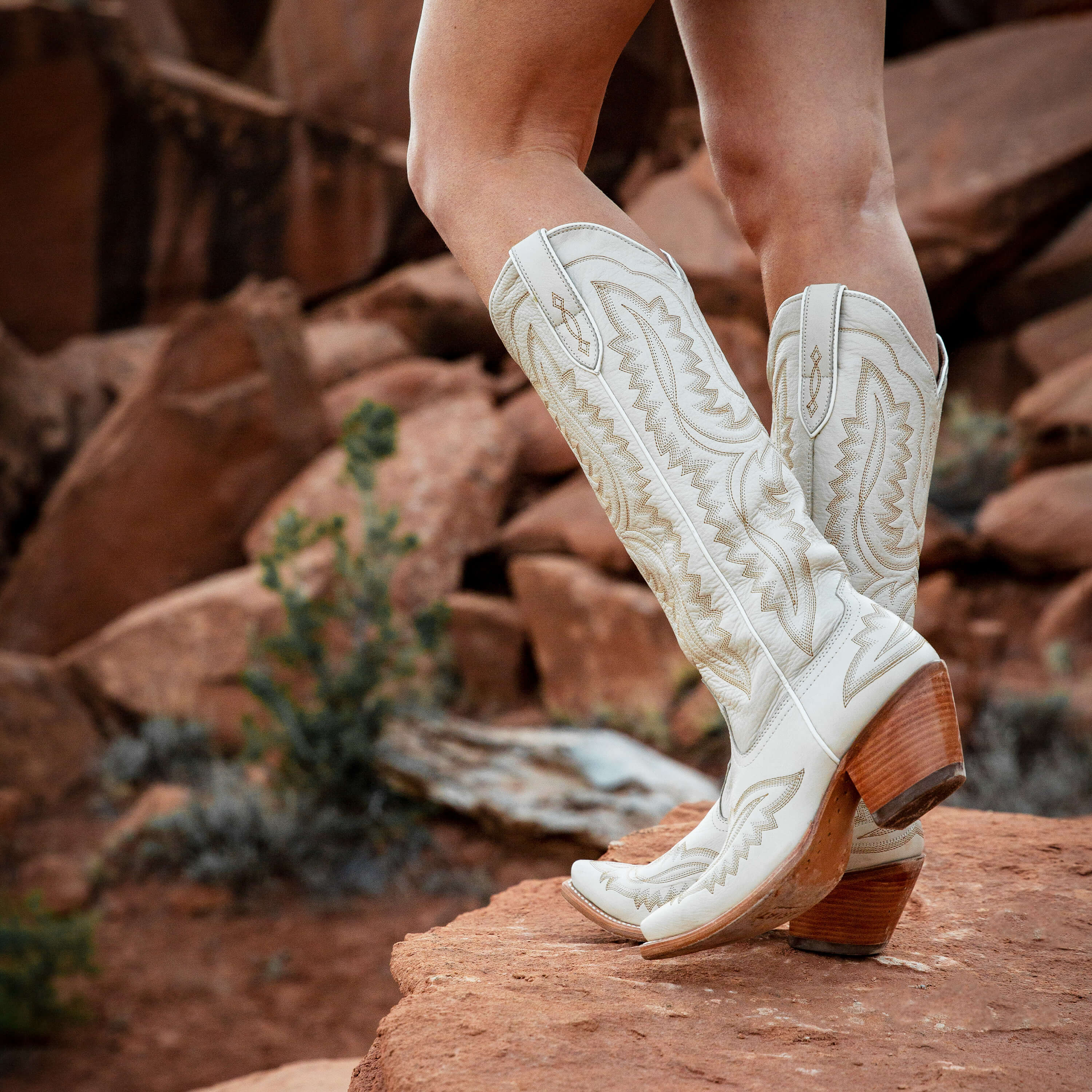 Ariat Women's Cassanova Boot