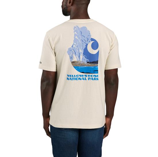 Carhartt Men's Relaxed Fit Heavyweight National Park Graphic T-Shirt