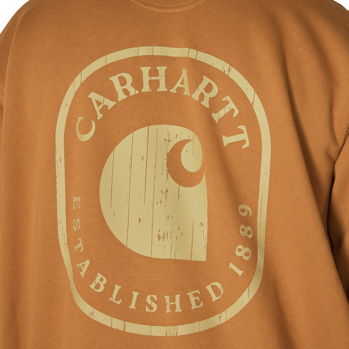 Carhartt Men's Paxton 1889 Back Graphic Hoodie