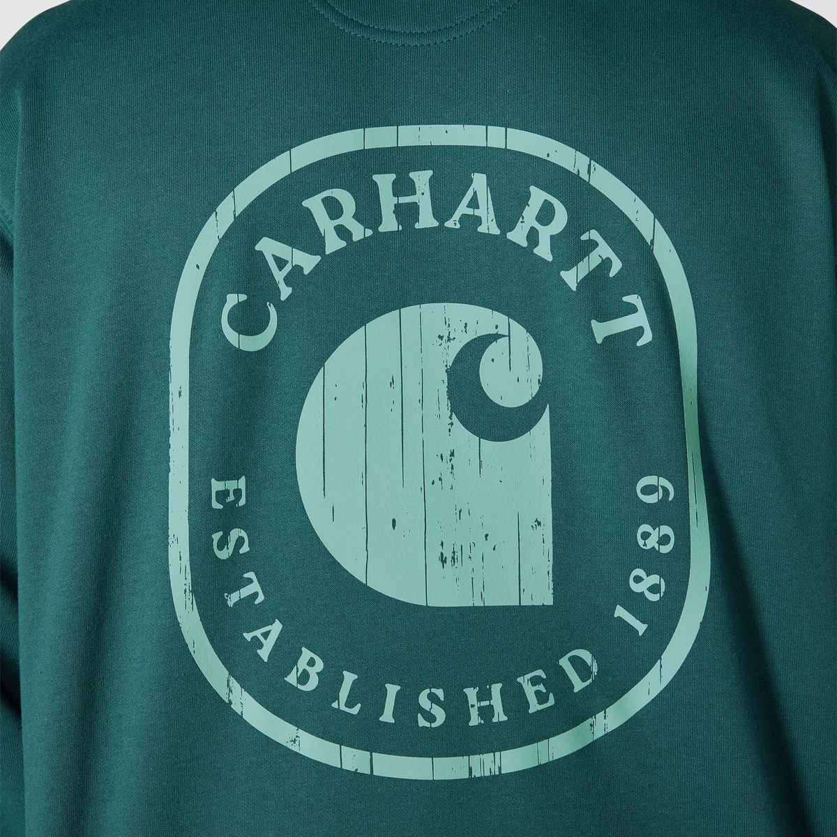 Carhartt Men's Paxton 1889 Back Graphic Hoodie