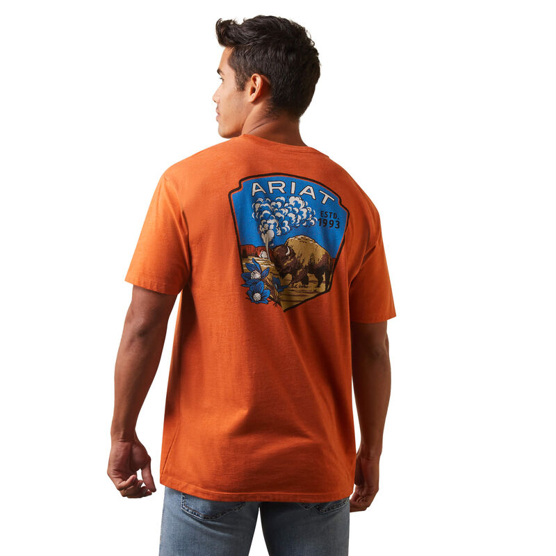 Ariat Old Faithful T-Shirt